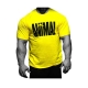 Universal Sportswear Animal Iconic Shirt Yellow