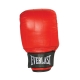 Everlast Leather Pro Bag Gloves Boston (Red)
